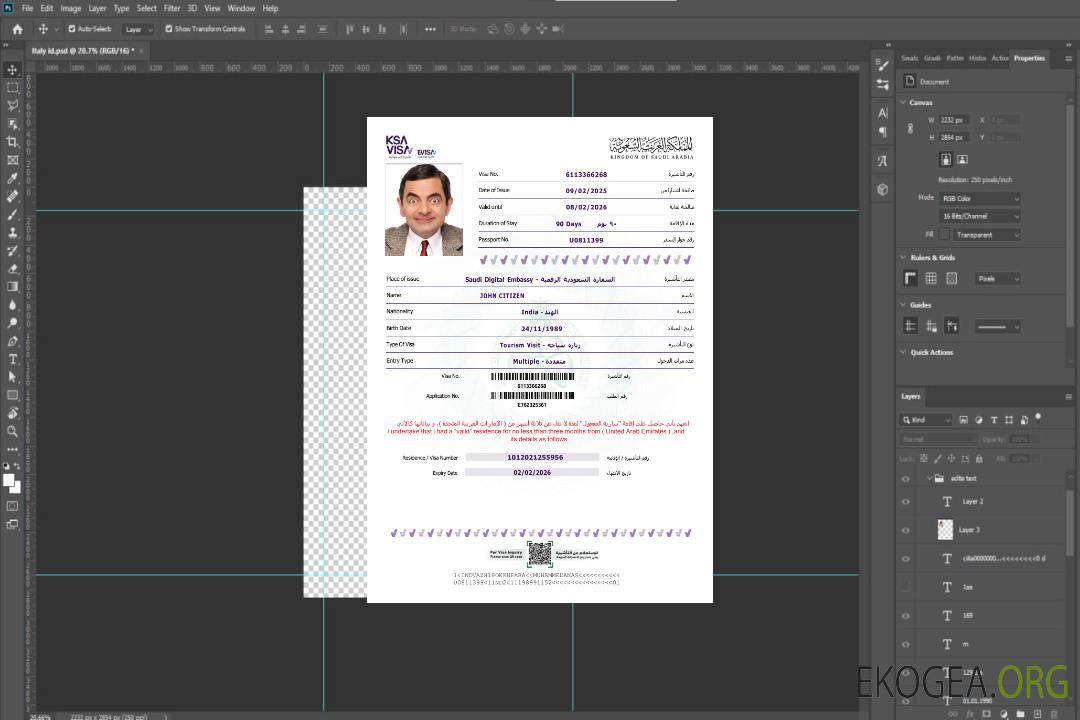 Modèle de visa électronique pour l'Arabie Saoudite aux formats Word et PDF, version 2 template